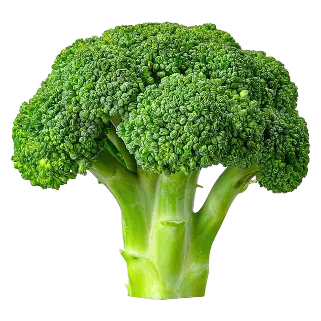 Broccoli