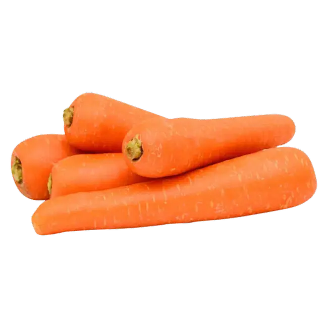 Carrot